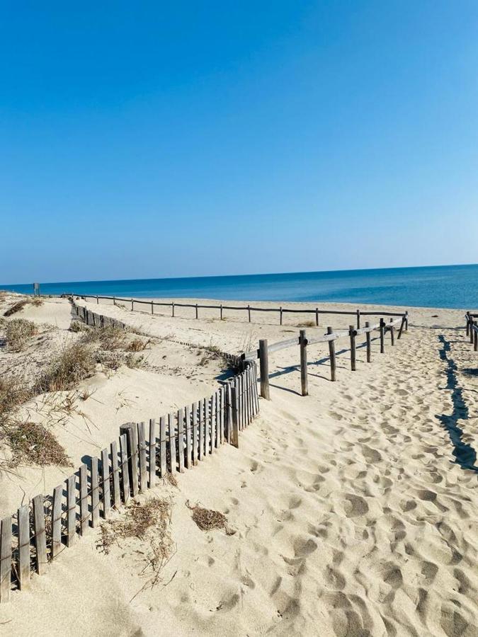Bella Vista ,Acces Direct Plage, Front De Mer, Vue Mer Panoramique Le Barcares Bagian luar foto